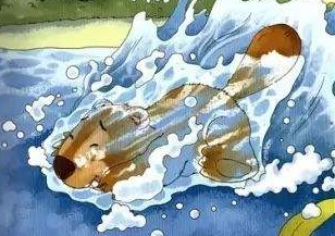 河狸计划游戏特色