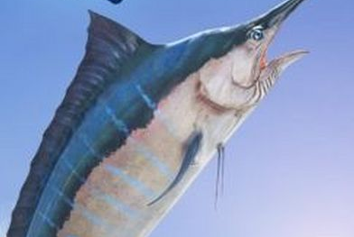 冰钓大师快速升级攻略 老司机让你轻松满级