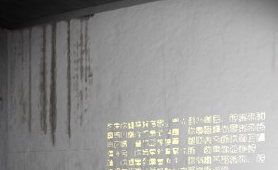 刘青春徽章的秘密位置介绍