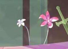 《Lost》第六关怎么过 第六关攻略分享