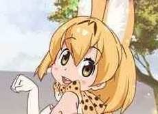 动物朋友展览区特殊音乐触发攻略