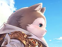 《风之大陆》角色进阶宝典