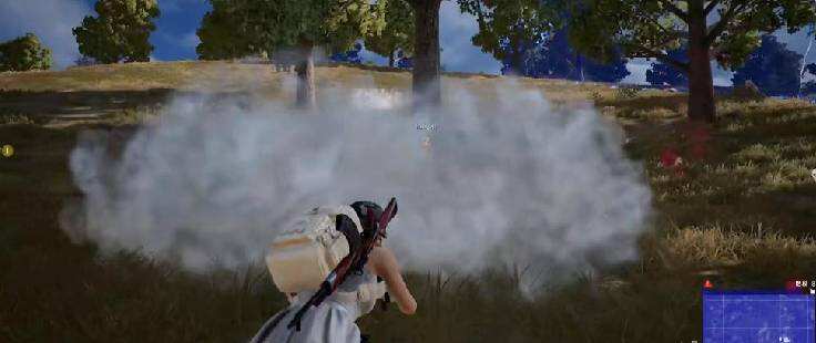 PUBG：假装自己看到人乱开枪，被队友当场逮住！