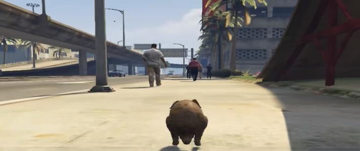 【GTA5】变身动物去佩里科岛的话会发生什么？
