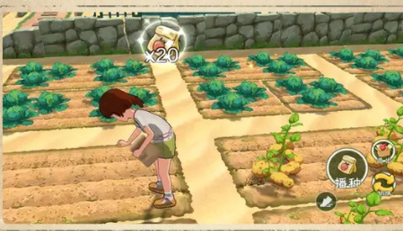 小森生活赚钱最快攻略分享