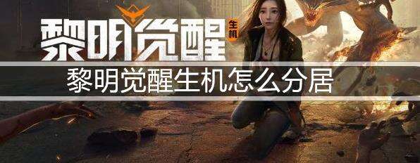 黎明觉醒生机怎么分居