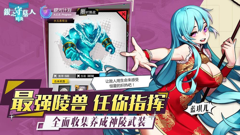 银之守墓人：对决安装及配置说明