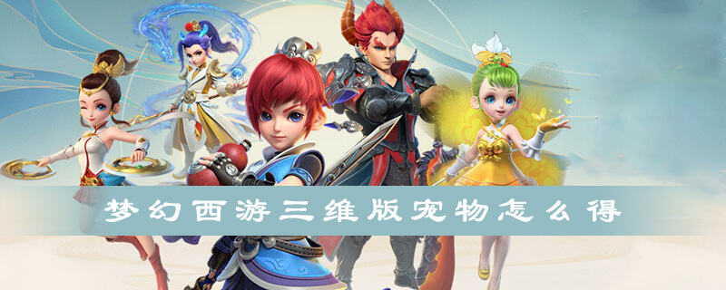梦幻西游三维版宠物怎么得