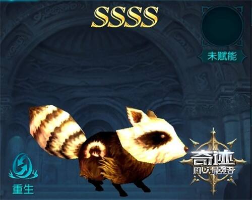 《奇迹：最强者》合成宠物上新 新物种小熊猫诞生