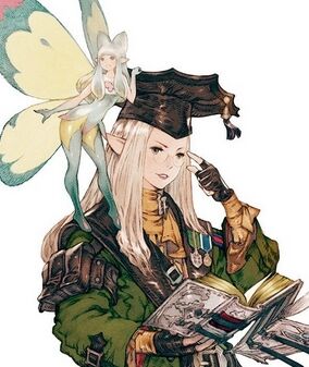 最终幻想14学者宏研究—新人进阶(一)