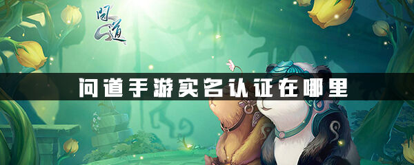 问道手游实名认证在哪里