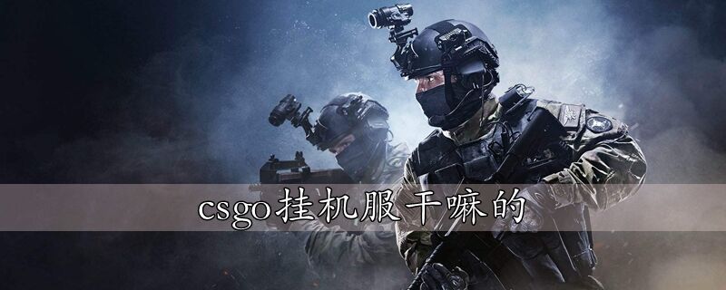 csgo挂机服干嘛的