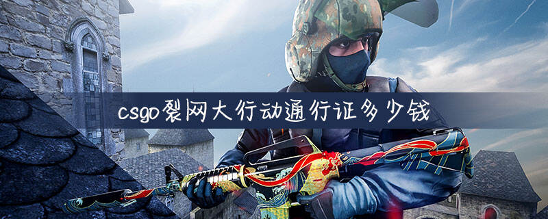 csgo裂网大行动通行证多少钱
