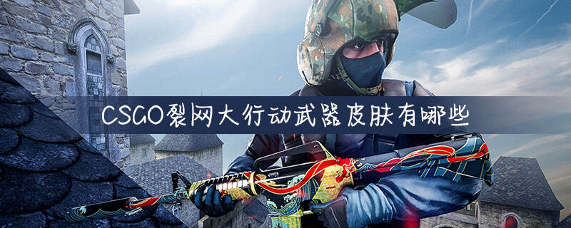 CSGO裂网大行动武器皮肤有哪些