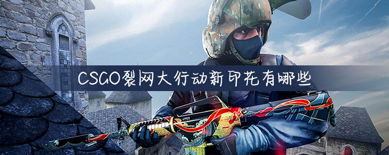 CSGO裂网大行动新印花有哪些