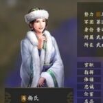 三国志14马超老婆杨式属性一览