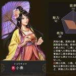 三国志14小乔人物关系介绍