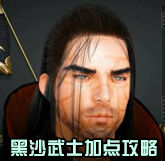 黑色沙漠武士攻略 黑色沙漠武士怎么玩？