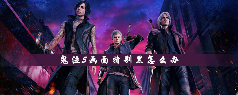 鬼泣5画面特别黑怎么办