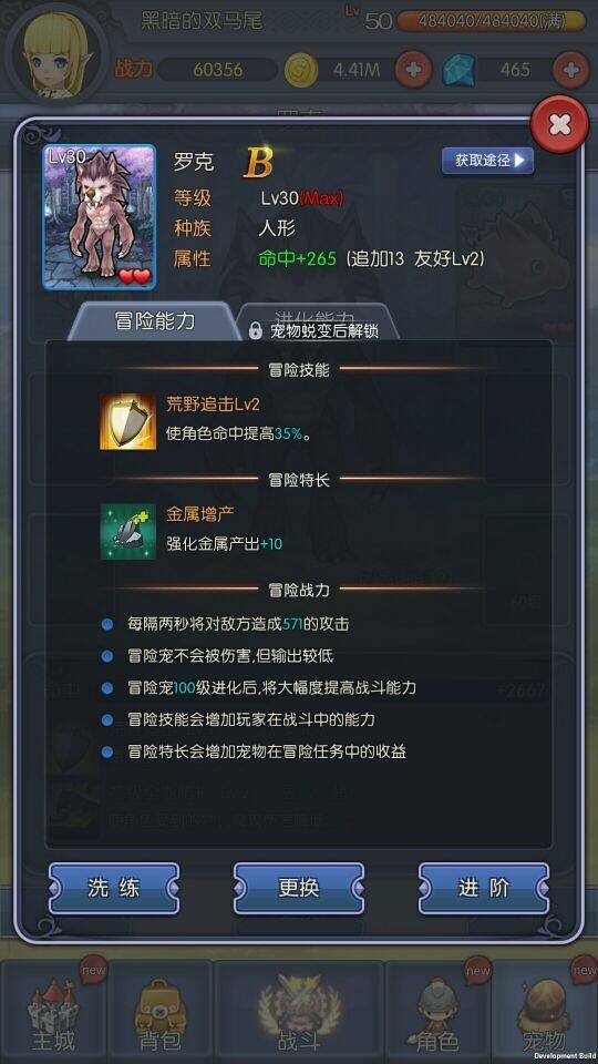 《月神宝藏》新手入门之宠物篇