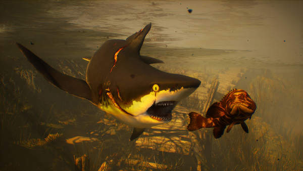 力图还原深海景色《食人鲨》场景截图颁布