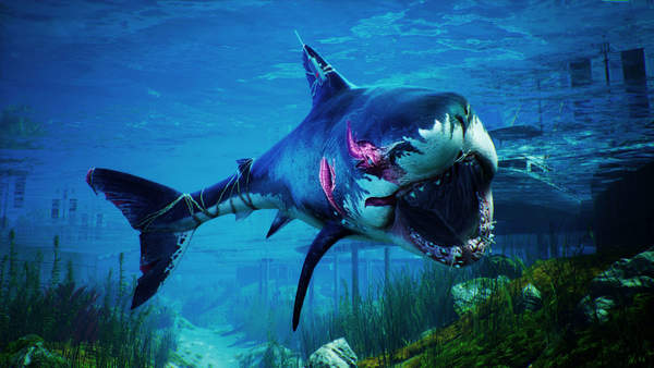 《食人鲨》游戏PC配置需求公布 低配仅核显即可