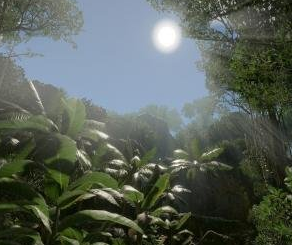 绿色地狱新手指南 游戏基础知识详解