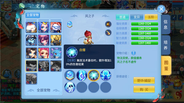 《天书奇谈》75宠物分析 攻速物宠暴力输出