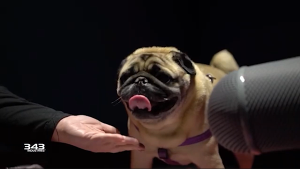 《光环：无限》新幕后声音捕捉短片 斗牛犬扮演野猪兽