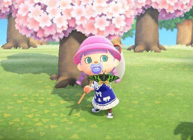 动物森友会珍珠速刷方法 动物之森珍珠获取方法一览