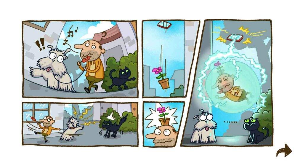 24.jpg