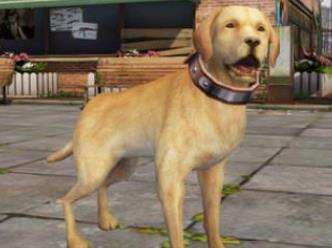 明日之后：全新忠犬版本！全新系统解析