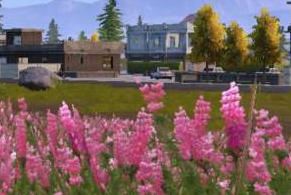 《和平精英》山谷地图鲁冰花海位置分享