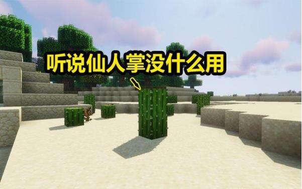 我的世界种植仙人掌用处详细介绍
