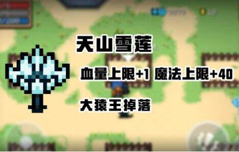 <a href='https://www.wywyx.com/zq/yuanqiqishi3.html' target='_blank' title='元气骑士'><u>元气骑士</u></a><a href='https://www.wywyx.com/ku/202005/183049.html' target='_blank' title='天'><u>天</u></a>山雪莲有什么用？天山雪莲效果介绍[多图]图片1