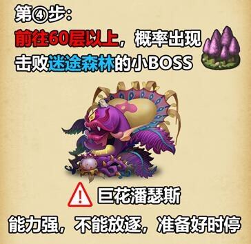不思议迷宫斯多利卡DP攻略大全：斯多利卡隐藏彩蛋DP阵容推荐[视频][多图]图片16