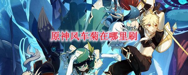 原神风车菊在哪里刷