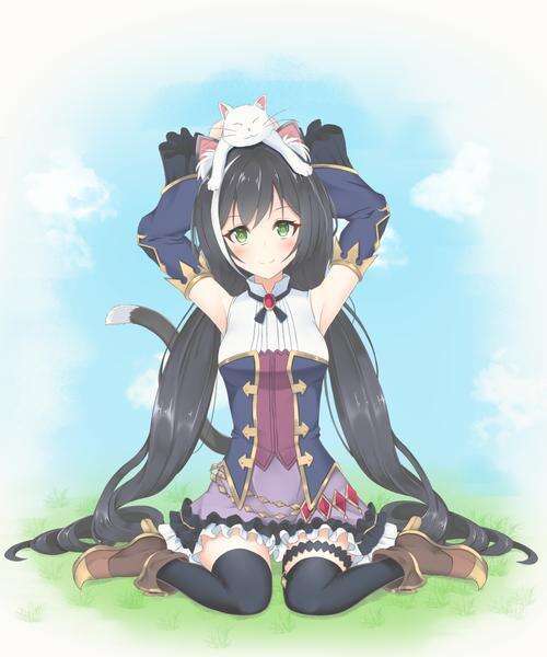 公主连接：二次元萌妹来袭，萝莉控的福音，优妮酱排名第一？