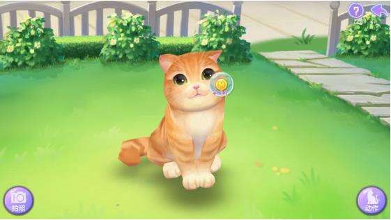 喵与筑玩转喵呜花园进阶篇攻略