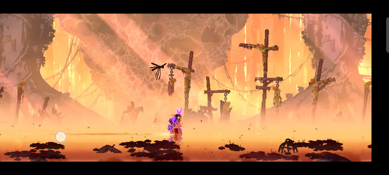 重生细胞：笑死我了