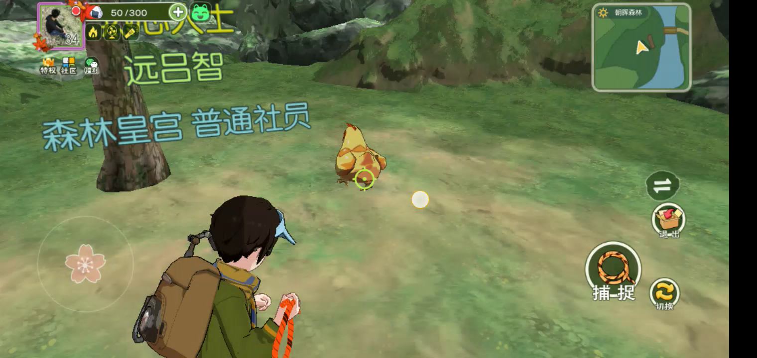 小森生活：这判定圈是不是有问题，连击多了就掉