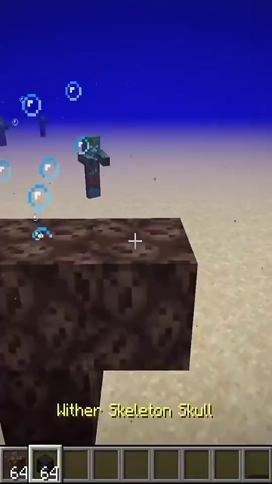 我的世界：当你在水里招呼凋零会怎么样……