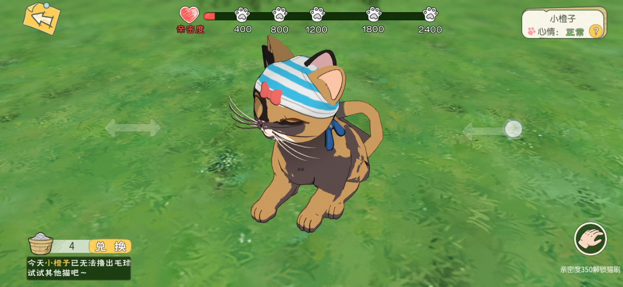 小森生活：鬼畜猫咪