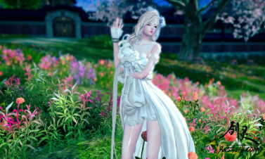 关于剑灵种族选取的优劣势分析