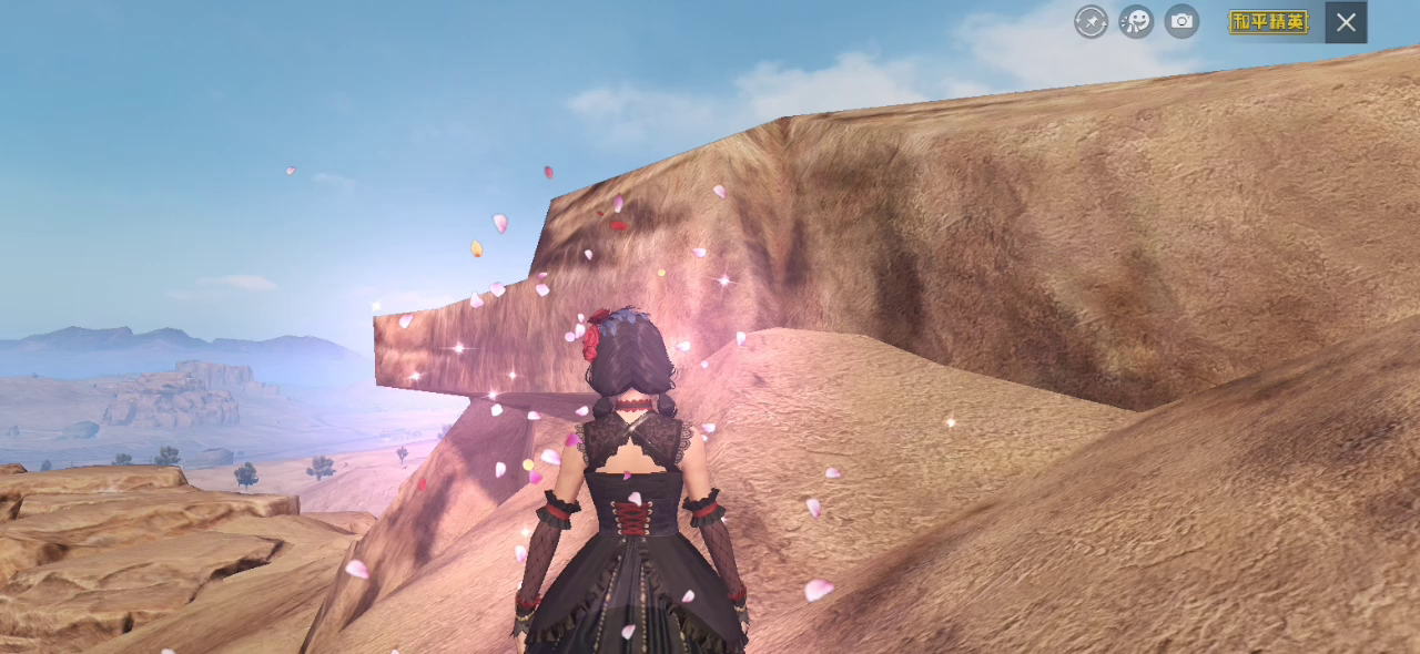 和平精英：打卡沙漠的网红猪