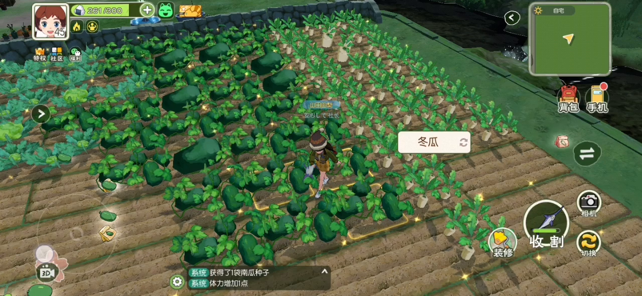 小森生活：这样收菜简直不要太巴适