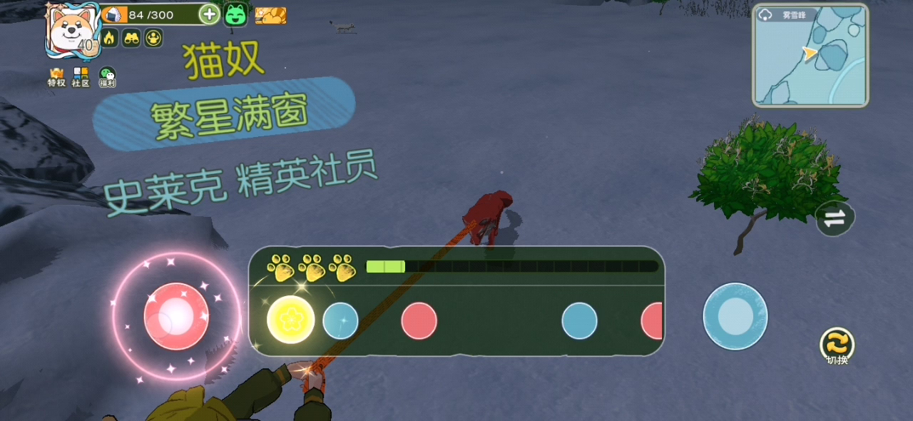 小森生活：红毛狐狸