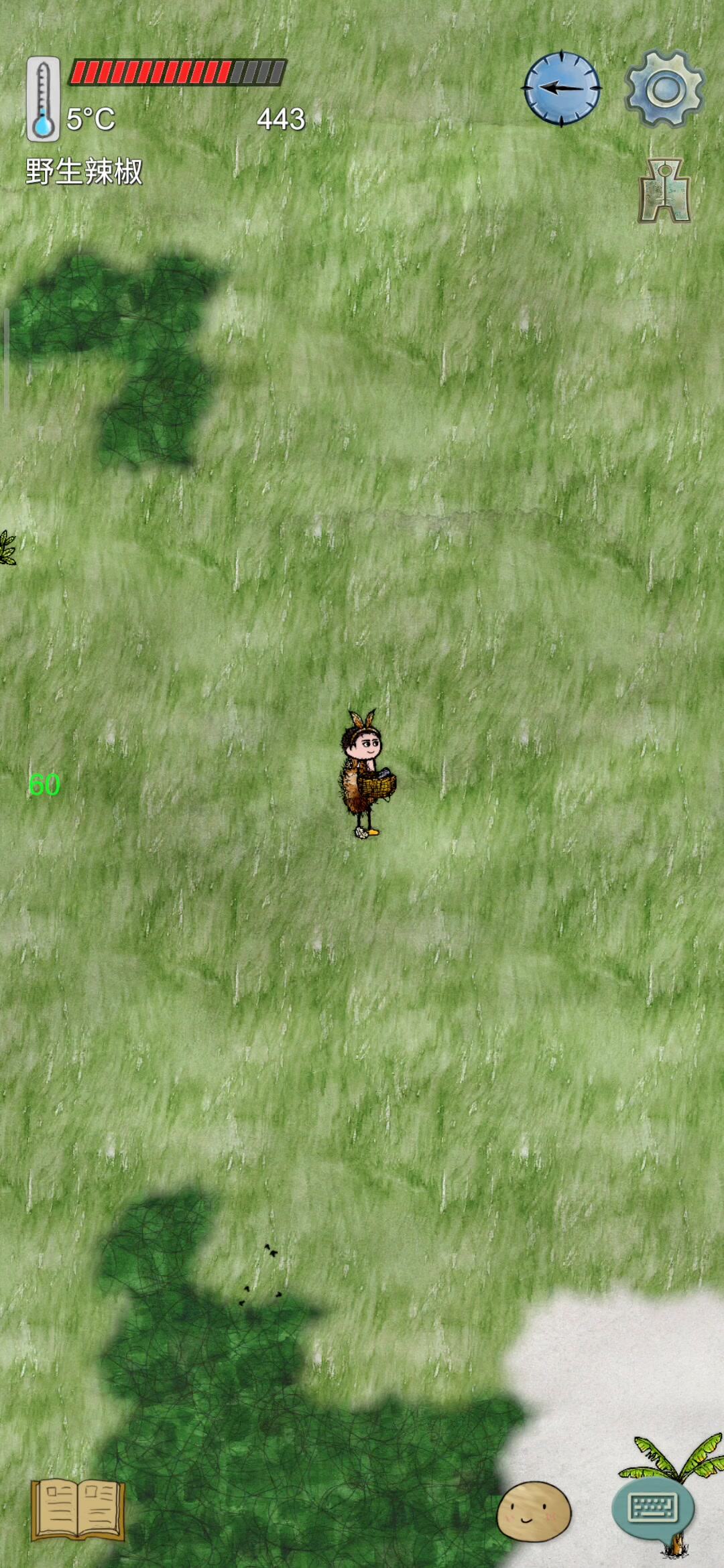 华夏人生：好多醋栗！！！养羊佳地