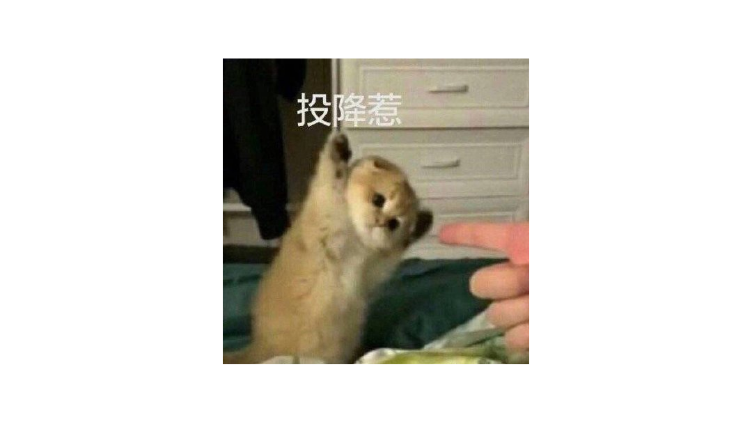 香肠派对：喷子为什么打不死