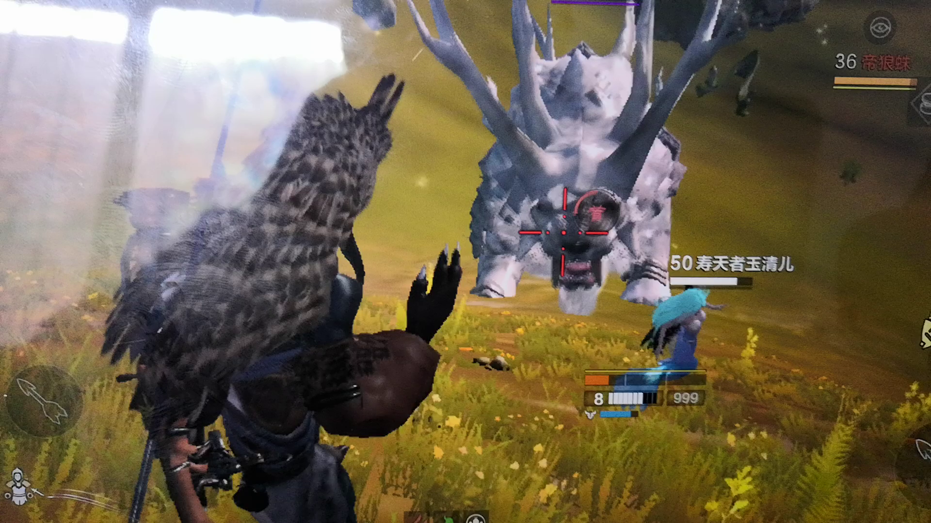 妄想山海：侍宠不攻击